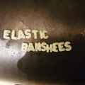 Elastic Banshees image