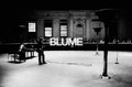 Blume image