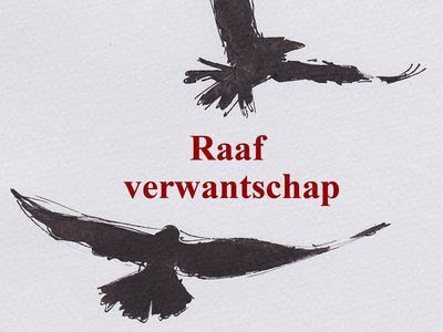 Jan Kleefstra - Raaf verwantschap (book) main photo