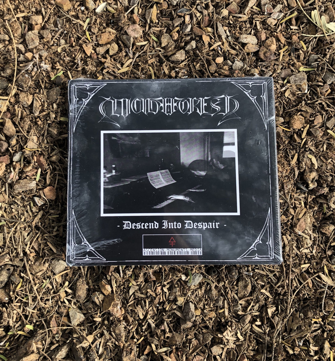 Descend Into Despair | Suicide Forest