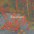 BeachCat image