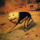 Encephalic Paradox Worm Hole thumbnail