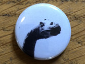 Dino Buttons photo 