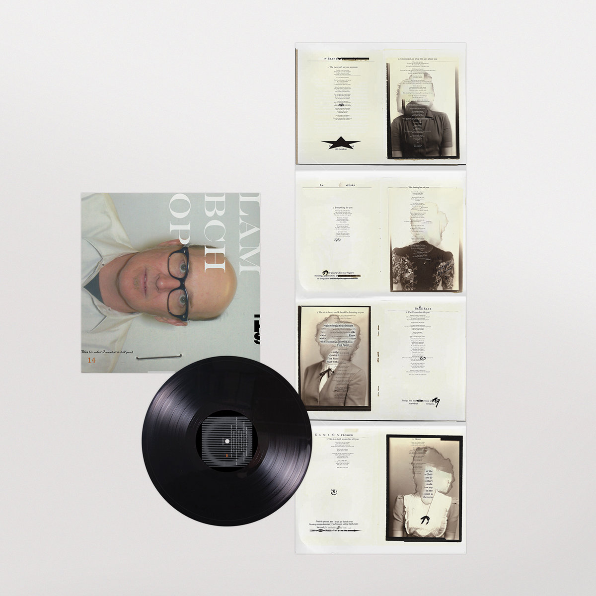 scarica mp3 lambchop