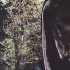 Cauldron thumbnail