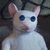 Bandcamp profile picture for @meringue