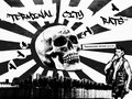 Terminal City Rats — Photo