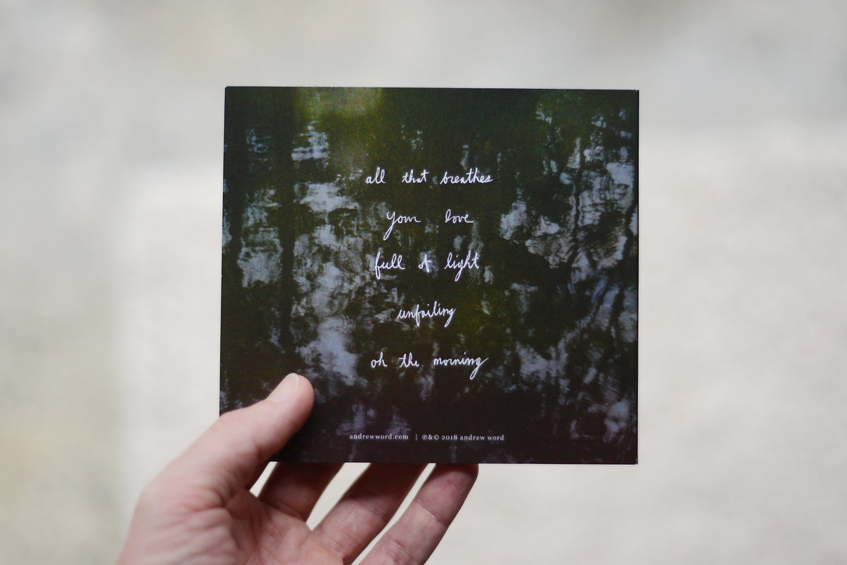 Full of Light | Andrew Word