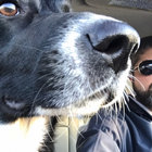 phil thumbnail