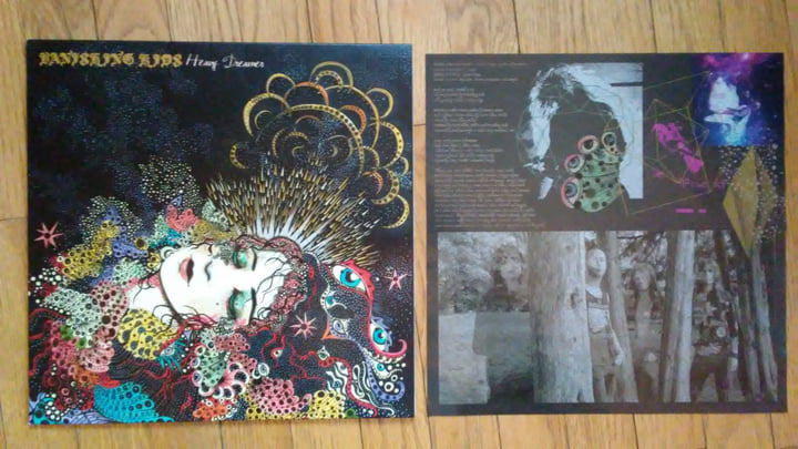 Heavy Dreamer | Vanishing Kids | V A N I S H I N G K I D S Heavy Dreamer | Vanishing Kids | V A N I S H I N G K I D S