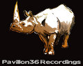 Pavillon36 Recordings image
