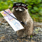 Rakun thumbnail