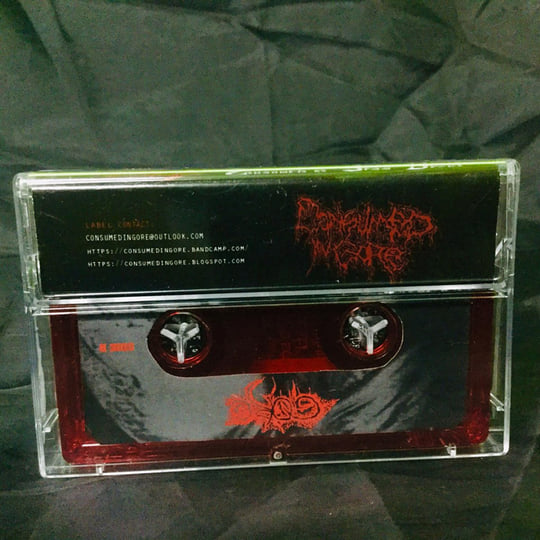 Consumed by Slow Decay | Gore | Consumed in Gore