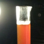 tok_brew thumbnail