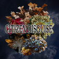 Citizen Disguise image