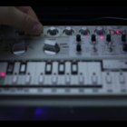303devilfish thumbnail