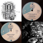 Transformed in Dub | Dubkasm