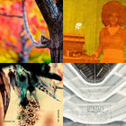 Giraffi thumbnail