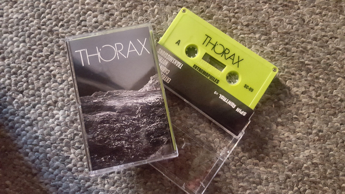 Cabin Fever Thorax