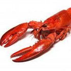 magicalspacelobster thumbnail