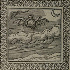 nightvines thumbnail