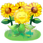 xocoabel thumbnail