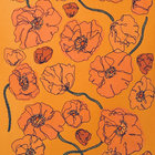 kim hoppe thumbnail