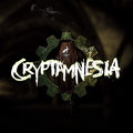 Cryptamnesia image