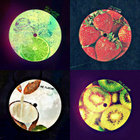 eavelez thumbnail