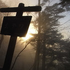 saunterer001 thumbnail