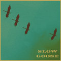 Slow Goose image