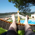 marsje50 thumbnail