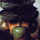 Mcgilroy the Housefly thumbnail