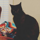 Samuel L. Catson thumbnail