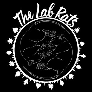 Music | The Lab Rats