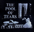 The Pool Of Tears image