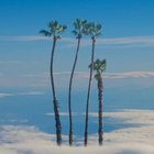 maverick24 thumbnail