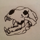 Ekhthir thumbnail