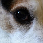 doublehardbastard thumbnail