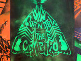 Moth Stencil Poster photo 