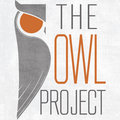 The Owl Project image