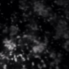 drunkenforest thumbnail