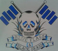 Blue Flags and Black Grass image