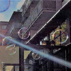 onebubblebee thumbnail