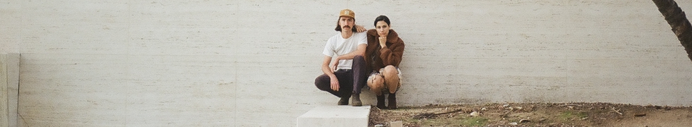 Pavo Pavo — Photo