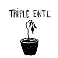 Triple Ente image