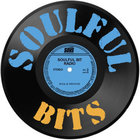 Soulful Bits thumbnail