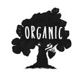 Organic-Music image