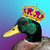 king_mallard thumbnail