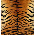 tigerbeat thumbnail
